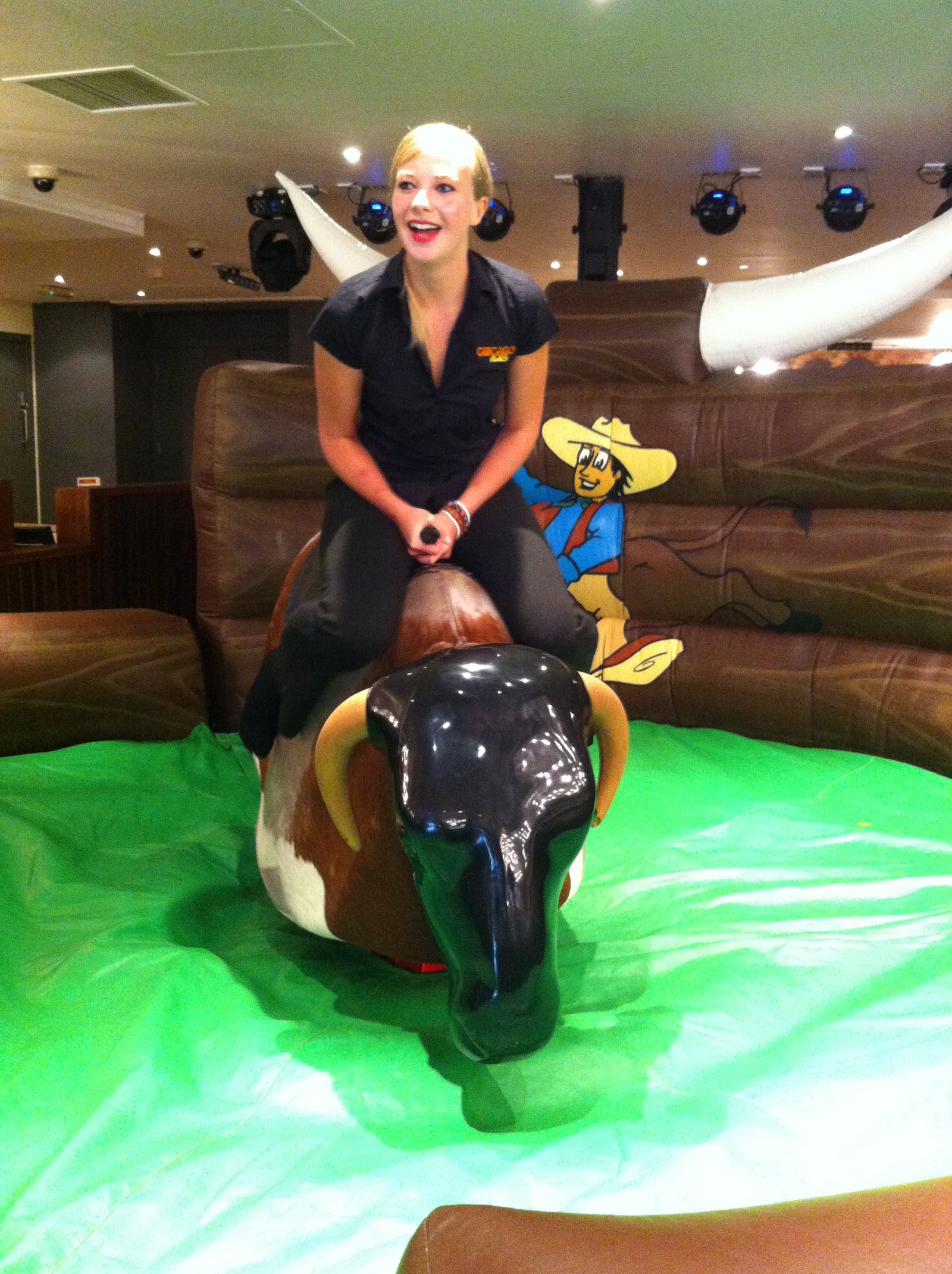 Rodeo bull hire